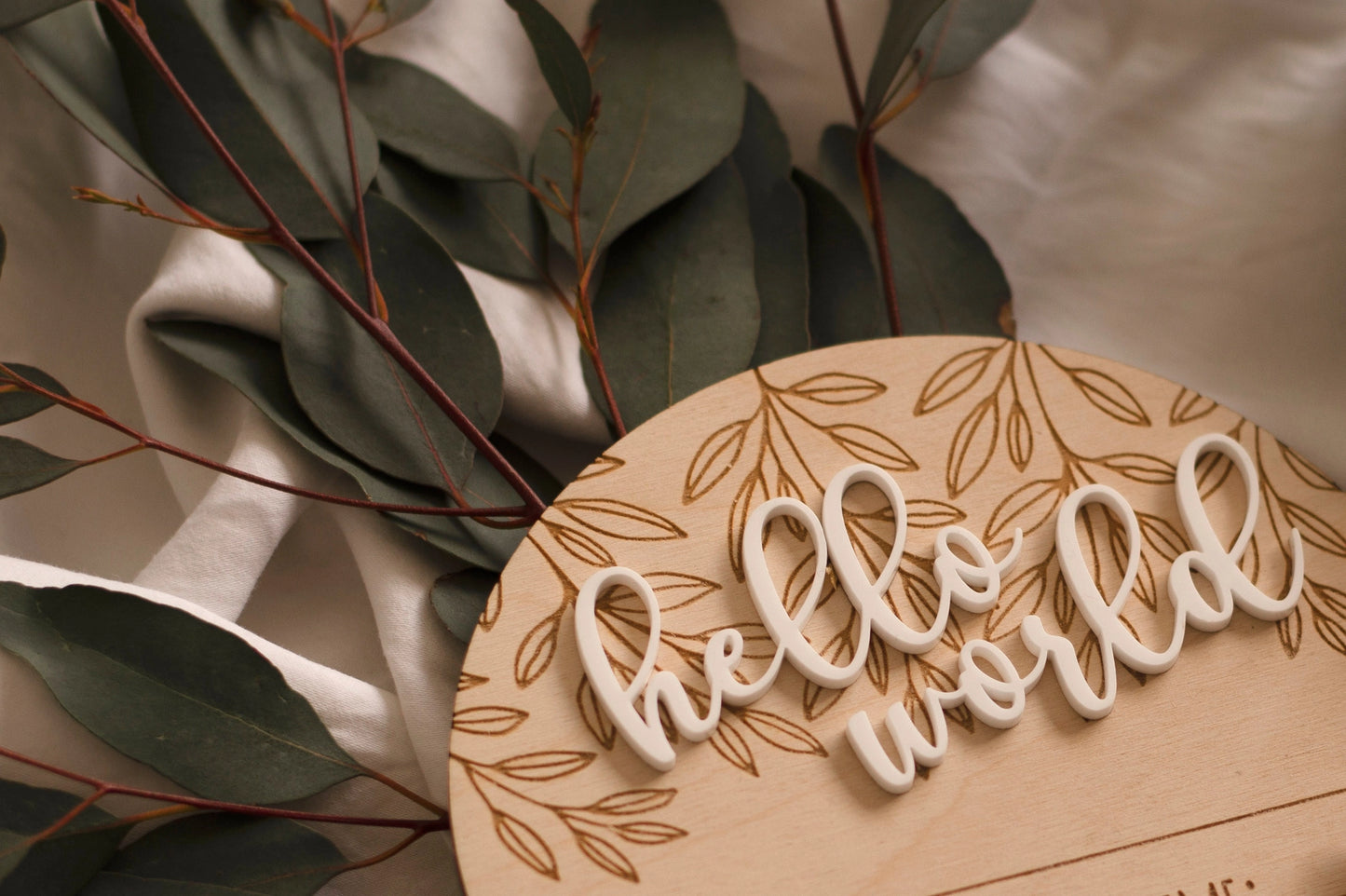 Birth Announcement 'Hello World'